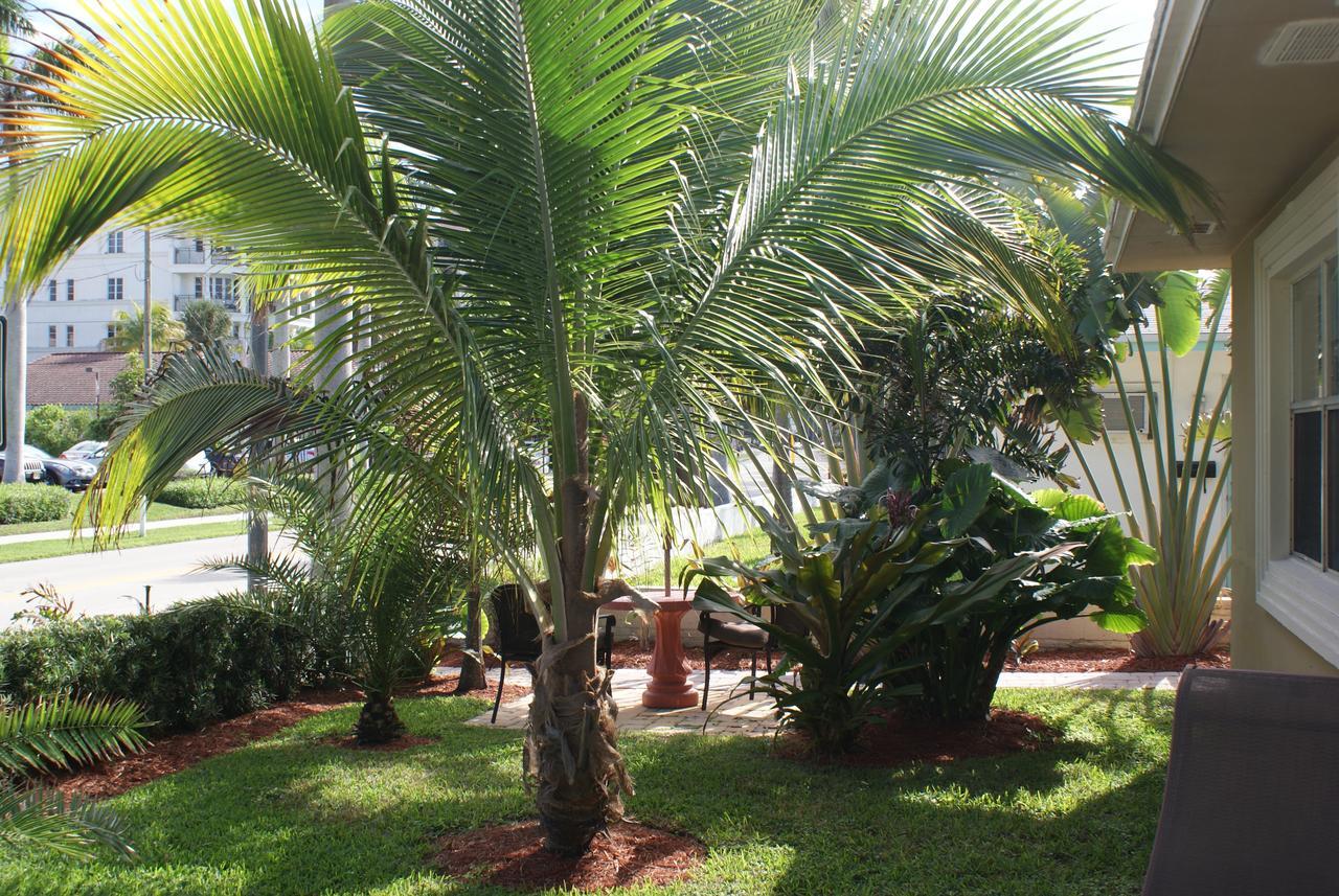 Atlantic Shores Vacation Villas Palm Beach Shores Buitenkant foto